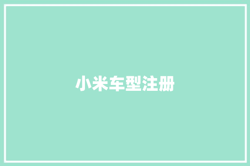 小米车型注册