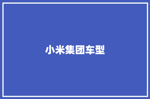 小米集团车型
