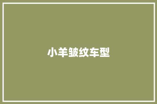 小羊皱纹车型