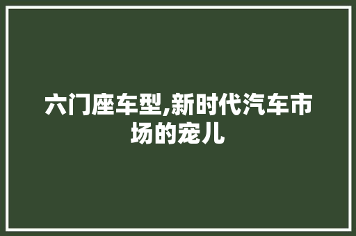 六门座车型,新时代汽车市场的宠儿