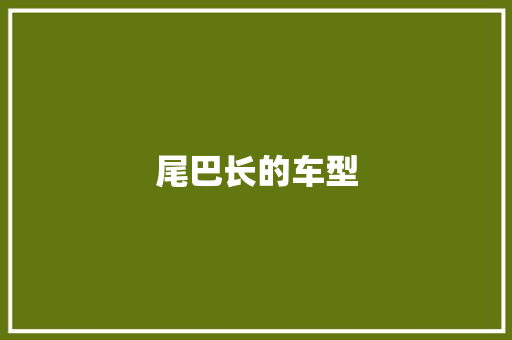 尾巴长的车型