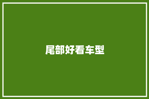 尾部好看车型