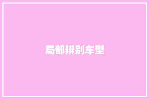 局部辨别车型