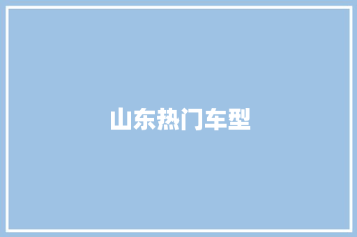 山东热门车型