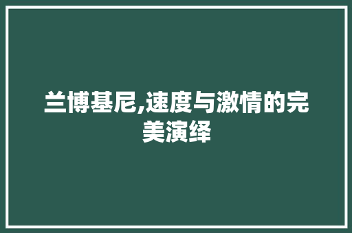 兰博基尼,速度与激情的完美演绎