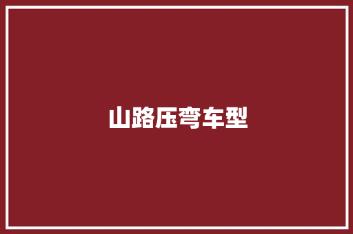 山路压弯车型