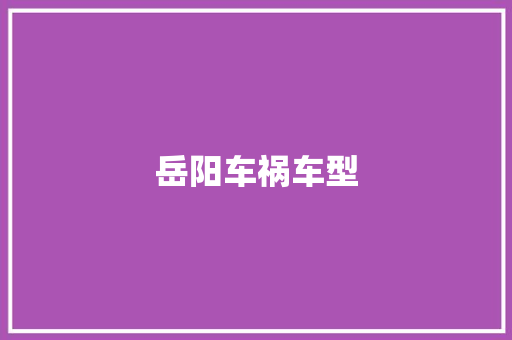 岳阳车祸车型