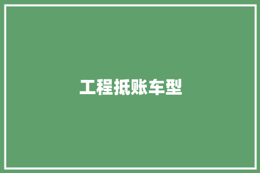 工程抵账车型