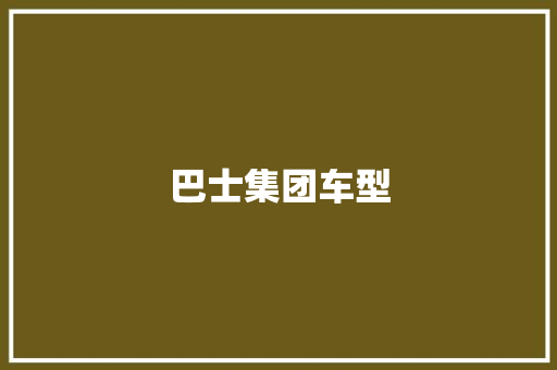 巴士集团车型