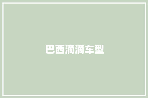 巴西滴滴车型