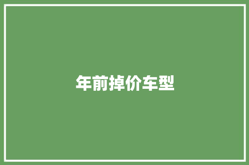 年前掉价车型