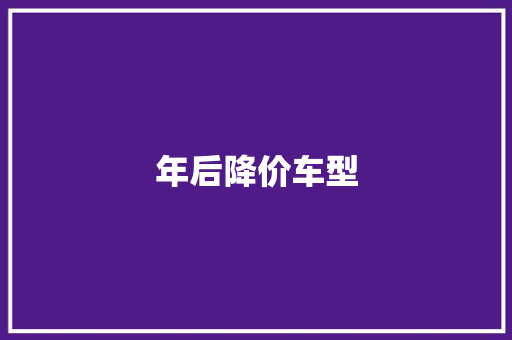 年后降价车型