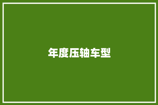 年度压轴车型