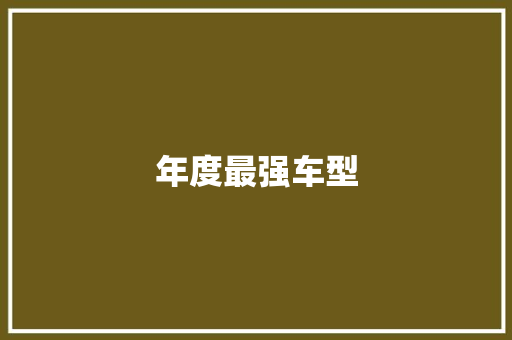 年度最强车型