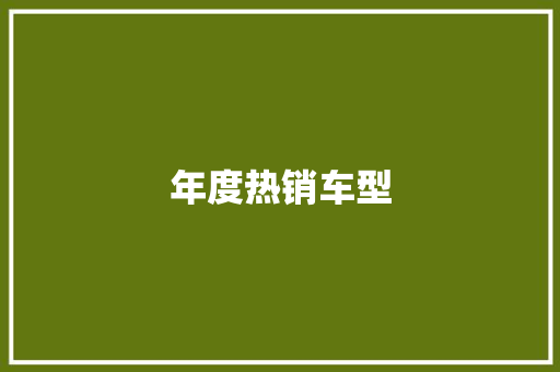 年度热销车型