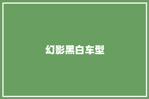 幻影黑白车型
