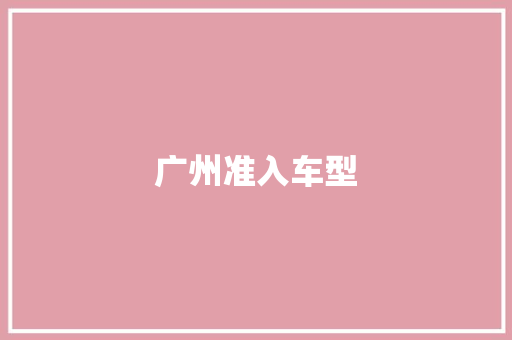 广州准入车型