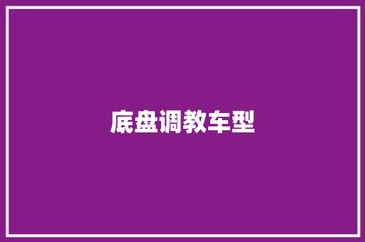 底盘调教车型