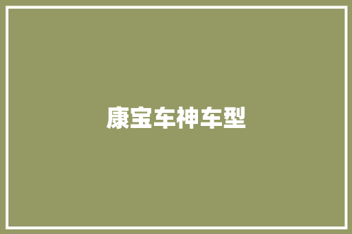 康宝车神车型