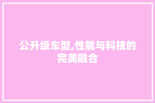 公升级车型,性能与科技的完美融合