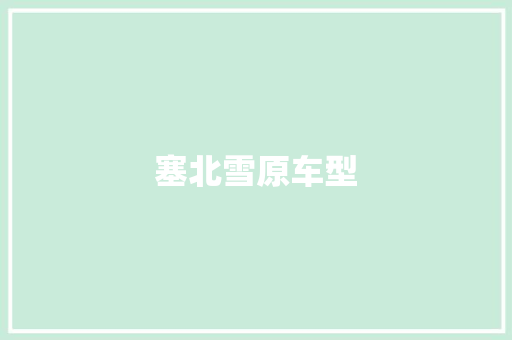 塞北雪原车型