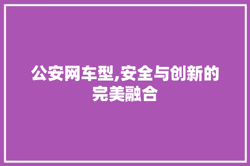 公安网车型,安全与创新的完美融合 车灯配件