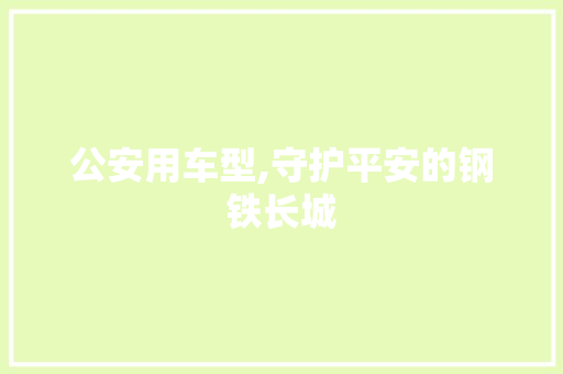 公安用车型,守护平安的钢铁长城