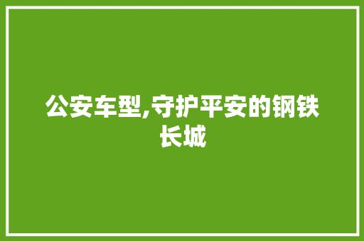公安车型,守护平安的钢铁长城
