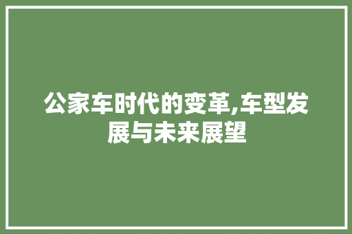 公家车时代的变革,车型发展与未来展望