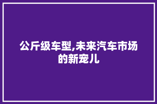 公斤级车型,未来汽车市场的新宠儿