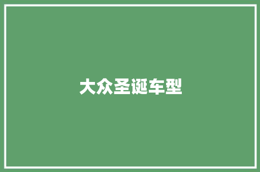 大众圣诞车型