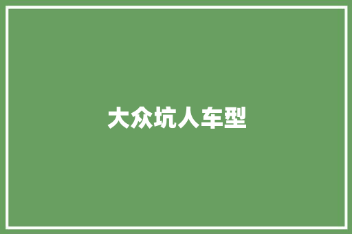 大众坑人车型