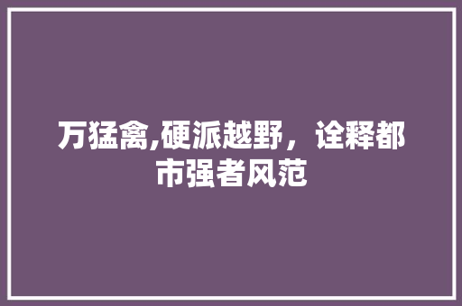 万猛禽,硬派越野，诠释都市强者风范