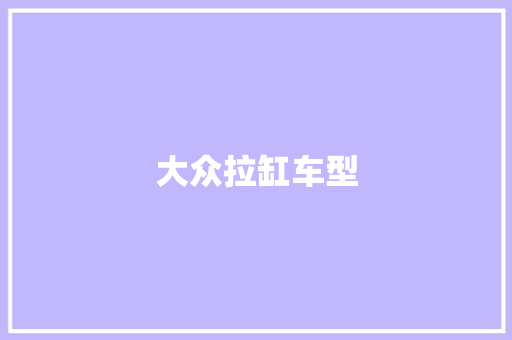 大众拉缸车型