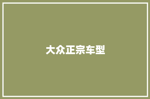 大众正宗车型