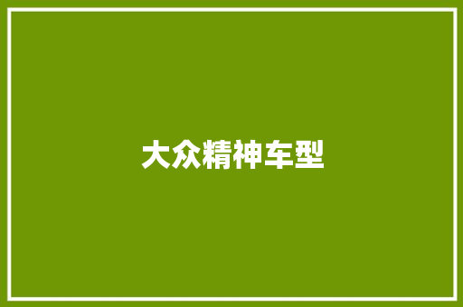 大众精神车型
