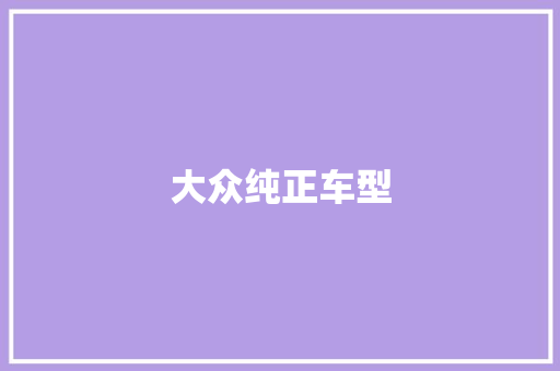 大众纯正车型