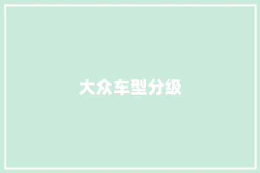 大众车型分级