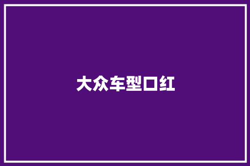 大众车型口红