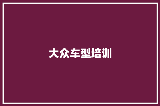 大众车型培训