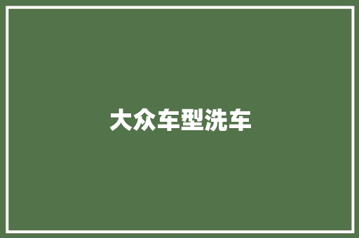 大众车型洗车