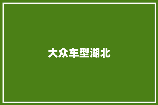 大众车型湖北
