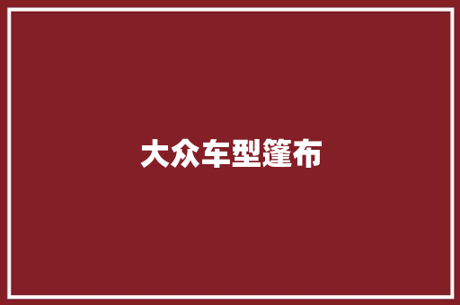 大众车型篷布