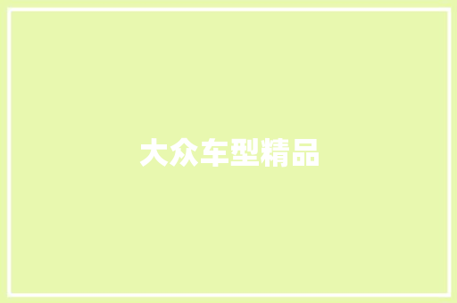 大众车型精品