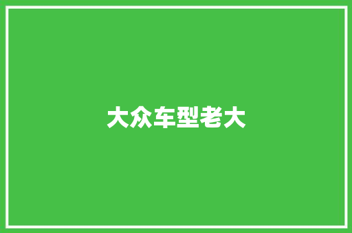 大众车型老大