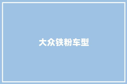 大众铁粉车型