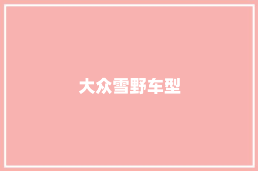 大众雪野车型