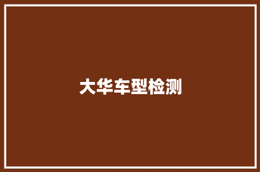大华车型检测