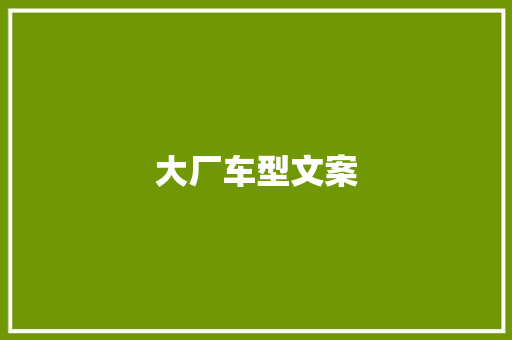 大厂车型文案