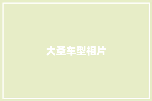 大圣车型相片